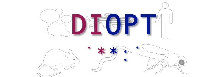 DIOPT