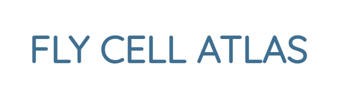 FlyCellAtlas