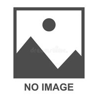 Drosophila sulfurigaster albostrigata